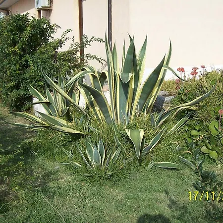Lejlighedshotel L'agave Cropani